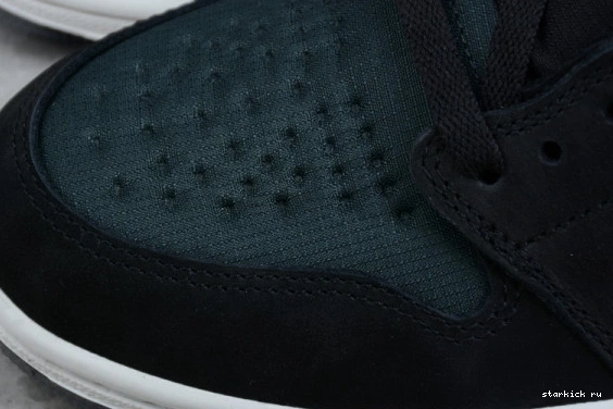 DB2889-001 Retro High Black Gore-Tex DB2889-001 Element 1 Air Particle Grey Jordan 1013